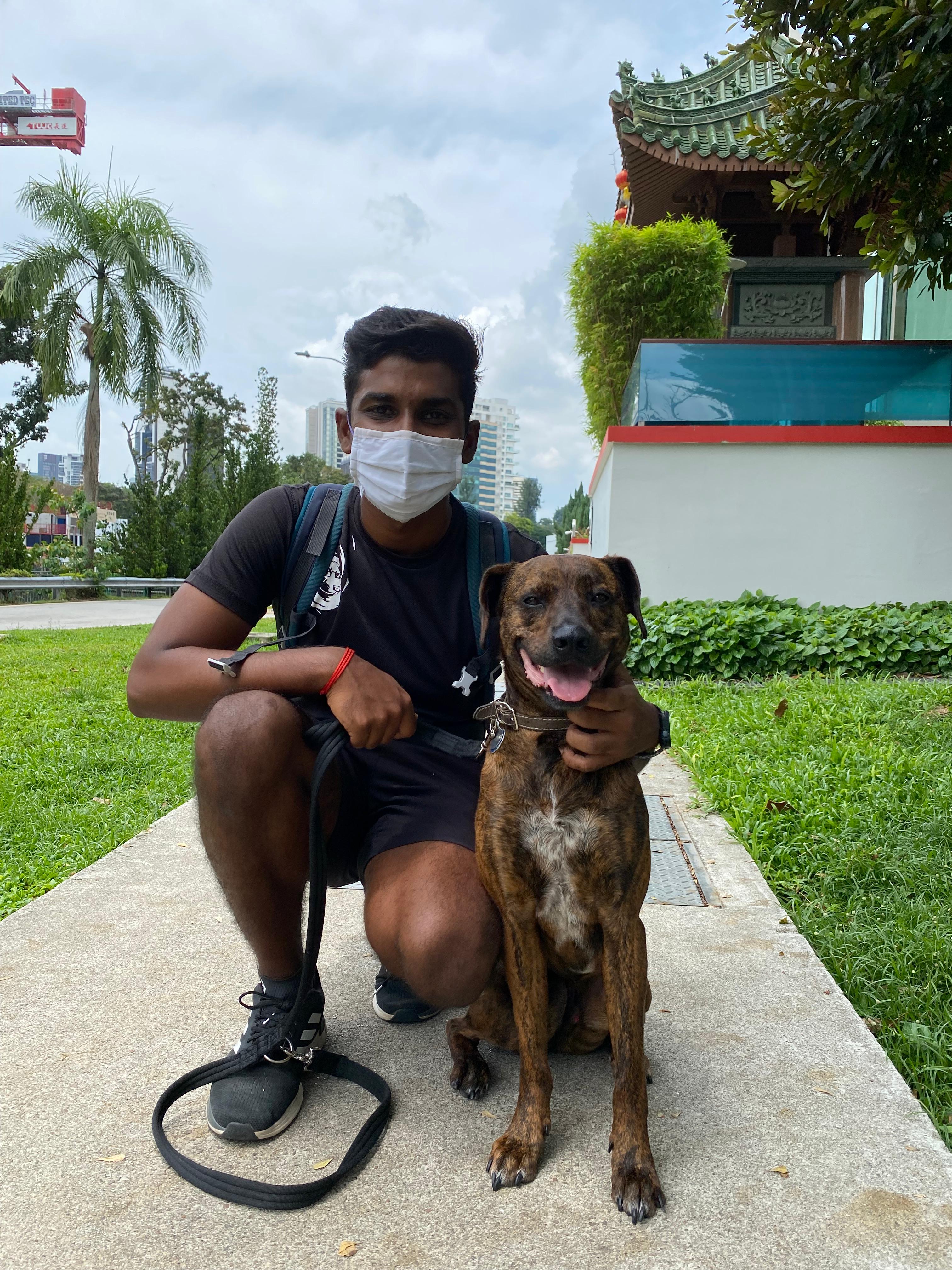 A man wearing a black t-shirt and a white face mask crouches beside a medium-sized brown brindle dog with a happy expression. They are on a sidewalk with a lush, green background featuring a traditional Asian-style building and palm trees.