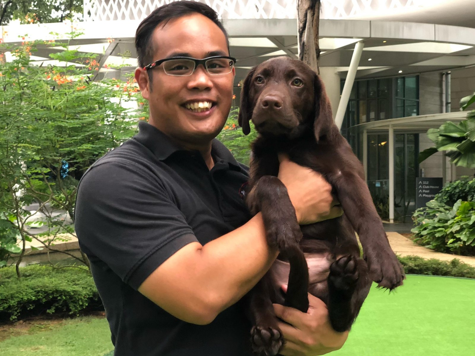 A trainer holding Baxter, a chocolate Labrador Retriever puppy, outdoors in a residential garden setting.