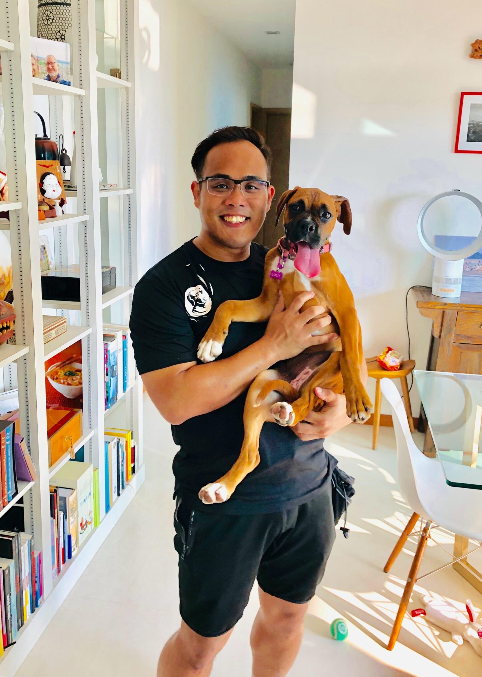 A trainer holding Lucy, a happy brown Boxer puppy, inside a bright modern home environment.